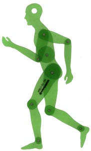 Human Figure Position